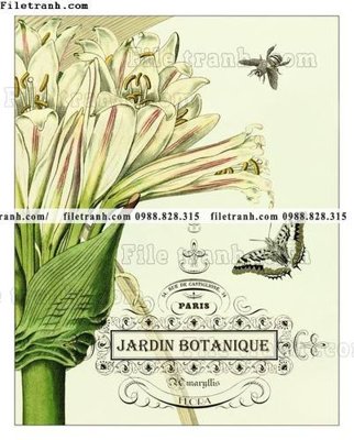 Tệp tin gốc decor tranh bo tong hop 479 (chất lượng) decor tranh bo tong hop 479