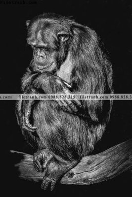 File tranh dong vat thien nhien su tu 520 (file gốc) chủ đề phong thủy