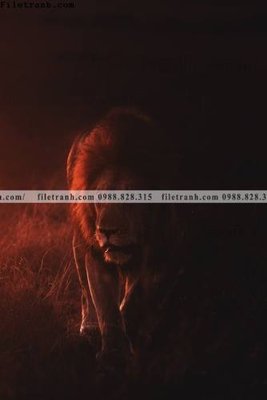 File tranh dong vat thien nhien su tu 524 (gốc) chủ đề thiên nhiên