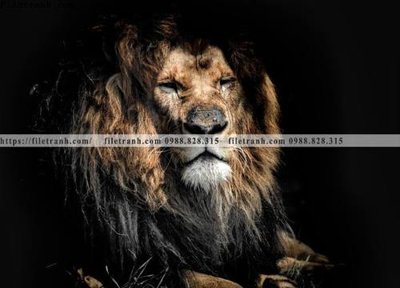 Hình ảnh file gốc in trần nhà dong vat thien nhien su tu 526