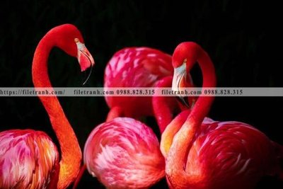 File gốc dong vat thien nhien su tu 529 (in tráng gương) sang trọng