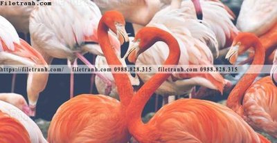 File gốc dong vat thien nhien su tu 559 (in ấn) không giới hạn