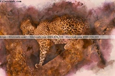 Tải file dong vat thien nhien su tu 563 (gốc) để in ấn ngay