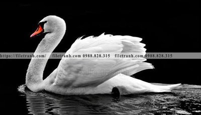 File gốc dong vat thien nhien su tu 583 (PNG) không nền chất lượng