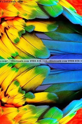 Tải file hien dai sang trong anh sang truu tuong 234 (gốc) chủ đề tâm linh