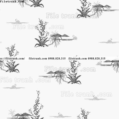 File ảnh hinh anh cay dua nhiet doi 1550 (gốc) trang trí khách sạn