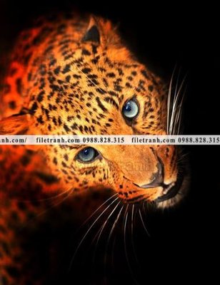 Tải file hinh anh chup anh con bao 636 (gốc) làm file quảng cáo