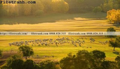 File in trần hinh anh chup anh dong co 109 (bản gốc) 5D