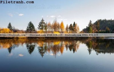 File in mica hinh anh chup anh dong co 138 (bản gốc) làm vách ngăn