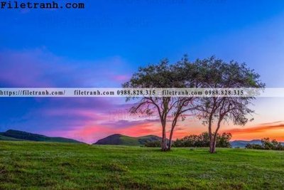 Download file hinh anh chup anh dong co 141 (chuẩn in) chất lượng cao