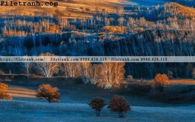 File tranh gốc hinh anh chup anh dong co 142 chủ đề hiện đại