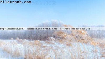 File PSD hinh anh chup anh dong co 153 (nguyên bản) cho thiết kế