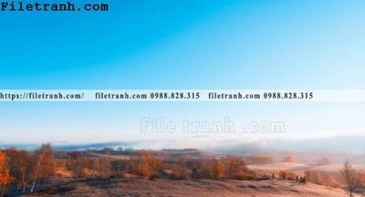 Tải file hinh anh chup anh dong co 162 (gốc) in ấn ngay lập tức