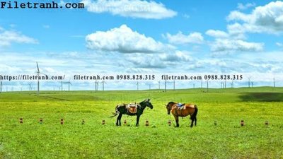 File tranh hinh anh chup anh dong co 165 (ảnh gốc) in trần nhà