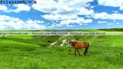 Download file hinh anh chup anh dong co 166 (chuẩn in) chất lượng cao