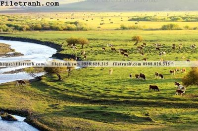 File PSD hinh anh chup anh dong co 169 (gốc) tách lớp chi tiết