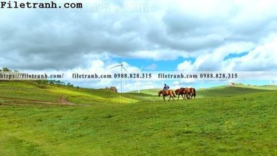 File tranh hinh anh chup anh dong co 180 (bản gốc) treo quán cafe