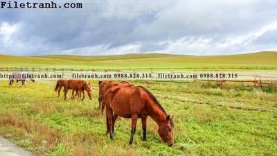 File in lụa hinh anh chup anh dong co 182 (phong cảnh) hinh anh chup anh dong co 182