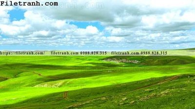 File tranh gốc hinh anh chup anh dong co 185 (bản quyền) độc đáo