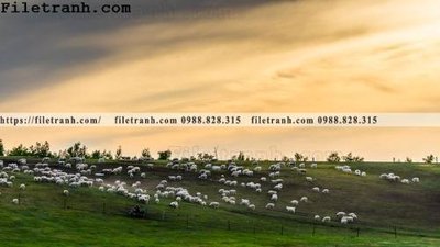 Tải file gốc in lụa hinh anh chup anh dong co 197 siêu nét