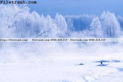 Tải file tranh gốc hinh anh chup anh dong co 198 chất lượng cao