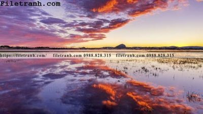 Mua file ảnh gốc hinh anh chup anh dong co 202 (chất lượng cao)