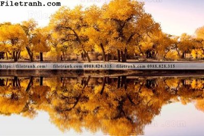 File gốc in ấn hinh anh chup anh dong co 210 độ phân giải cao