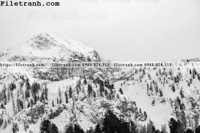 File ảnh hinh anh nui den trang 135 (gốc) in decal dán tường