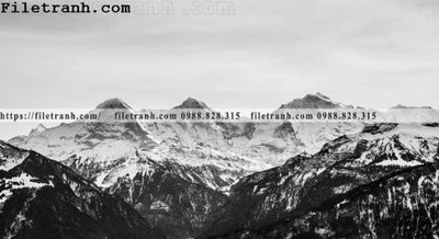 Download file gốc hinh anh nui den trang 185 (in lụa) hoa lá