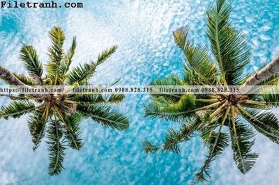 Download file gốc hinh anh phong canh cay co cay dua ngang 101 (in lụa) cao cấp