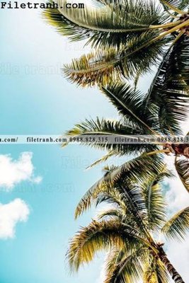 Tải file gốc hinh anh phong canh cay co cay dua ngang 132 (in tráng gương) cao cấpFile gốc hinh anh phong canh cay co cay dua ngang 132 (in ấn) phiên bản độc quyền