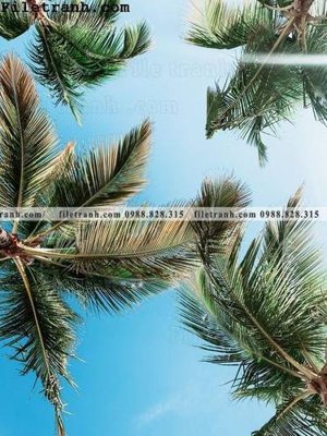 File gốc hinh anh phong canh cay co cay dua ngang 133 (cho in 3D) độc đáo