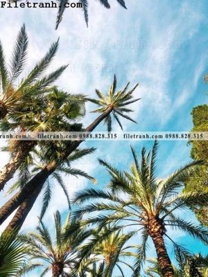 File gốc hinh anh phong canh cay co cay dua ngang 135 (in mica) trang trí
