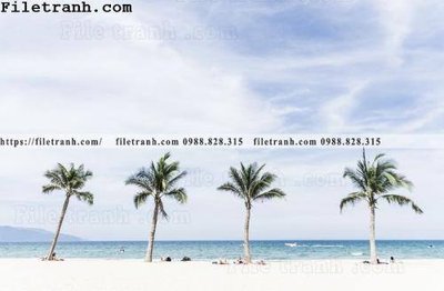 Download file hinh anh phong canh cay co cay dua ngang 139 (chuẩn in) chất lượng cao