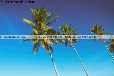 File tranh hinh anh phong canh cay co cay dua ngang 143 (ảnh gốc) in trần 3D