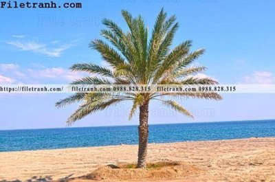 File gốc in ấn hinh anh phong canh cay co cay dua ngang 157 chất lượng vượt trội