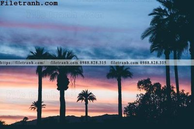 File in ấn hinh anh phong canh cay co cay dua ngang 159 (bản gốc) sắc nét