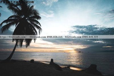 File tranh hinh anh phong canh cay co cay dua ngang 164 (gốc) chủ đề trẻ em