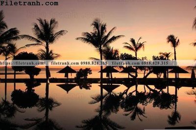 File gốc hinh anh phong canh cay co cay dua ngang 165 (cho in ấn) từ Filetranh.com