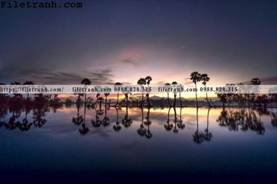 Ảnh gốc hinh anh phong canh cay co cay dua ngang 166 (độ nét cao) in mica