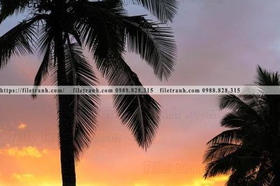 File gốc hinh anh phong canh cay co cay dua ngang 172 (in 3D) cho trang trí