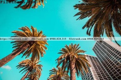 Tải file hinh anh phong canh cay co cay dua ngang 199 (gốc) làm tranh treo tường