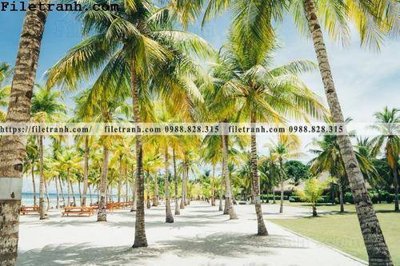 Tệp tin gốc hinh anh phong canh cay co cay dua ngang 204 (dùng cho in) hinh anh phong canh cay co cay dua ngang 204