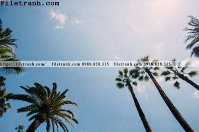 File tranh hinh anh phong canh cay co cay dua ngang 208 (file gốc) chuẩn màu in