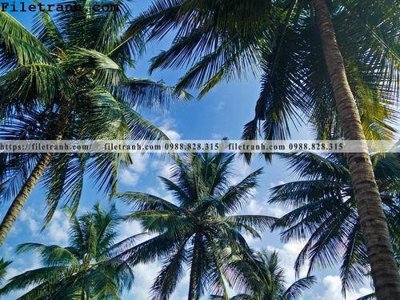 File gốc hinh anh phong canh cay co cay dua ngang 223 (in lụa) tranh phong thủy