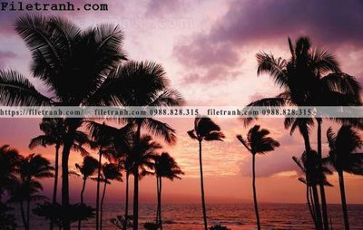 File tranh hinh anh phong canh cay co cay dua ngang 231 (gốc) in film