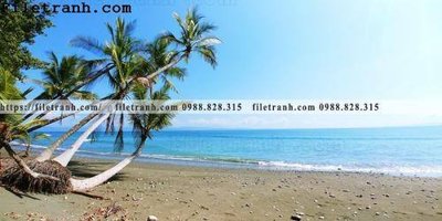 Tải file hinh anh phong canh cay co cay dua ngang 232 (gốc) làm tranh trang trí