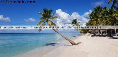 Tải file hinh anh phong canh cay co cay dua ngang 234 (PSD) cho in tranh kính