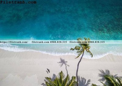 Hình ảnh file gốc hinh anh phong canh cay co cay dua ngang 236 cho in UV