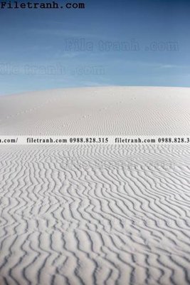 File in ấn hinh anh phong canh sa mac yen tinh 110 chuyên nghiệp